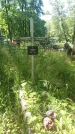 Захоронение ID 200066