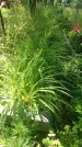 Захоронение ID 200067