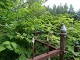 Захоронение ID 200076