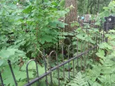 Захоронение ID 200123