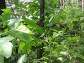 Захоронение ID 200163