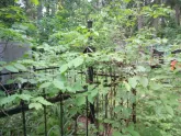 Захоронение ID 200241