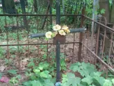 Захоронение ID 200245