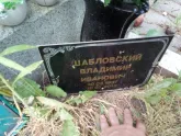 Захоронение ID 200284