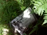 Захоронение ID 200322