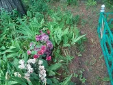 Захоронение ID 200398