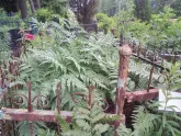 Захоронение ID 200404
