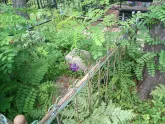 Захоронение ID 200413