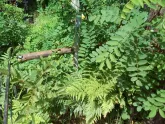 Захоронение ID 200418