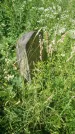 Захоронение ID 200501