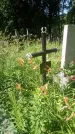 Захоронение ID 200502