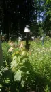Захоронение ID 200504