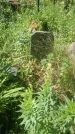 Захоронение ID 200507
