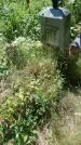 Захоронение ID 200509
