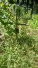 Захоронение ID 200510
