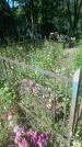 Захоронение ID 200512