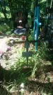 Захоронение ID 200513