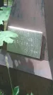 Захоронение ID 200523