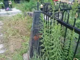Захоронение ID 200655