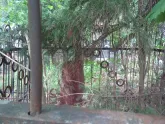 Захоронение ID 200921