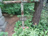 Захоронение ID 201075