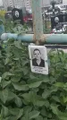 Захоронение ID 201916