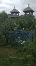 Захоронение ID 201917