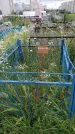 Захоронение ID 201931