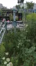 Захоронение ID 201992
