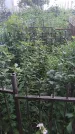 Захоронение ID 202004