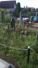Захоронение ID 202051
