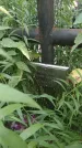 Захоронение ID 202137