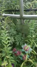 Захоронение ID 202166