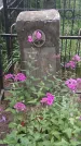 Захоронение ID 202190