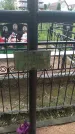 Захоронение ID 202214