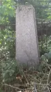 Захоронение ID 202231