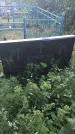 Захоронение ID 202250