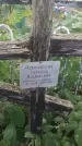 Захоронение ID 202263