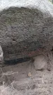 Захоронение ID 202416
