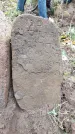 Захоронение ID 202420