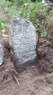 Захоронение ID 202431