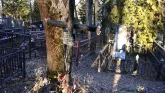 Захоронение ID 257294