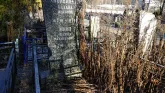 Захоронение ID 254239
