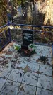 Захоронение ID 254229
