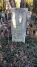Захоронение ID 257136