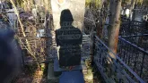 Захоронение ID 235956