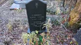 Захоронение ID 236086