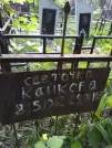 Захоронение ID 203036
