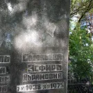 Захоронение ID 203193