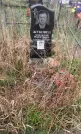 Захоронение ID 202673